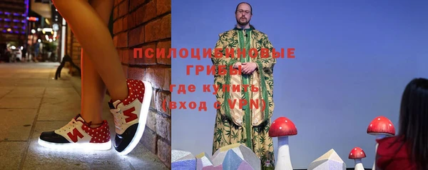 МДПВ Алексеевка