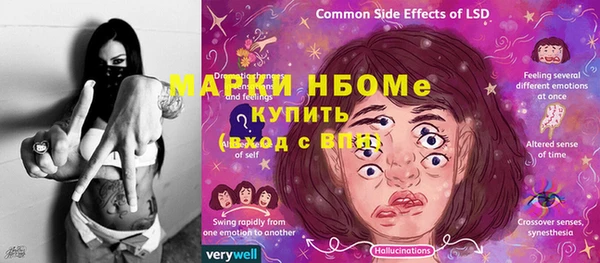 гашик Алзамай