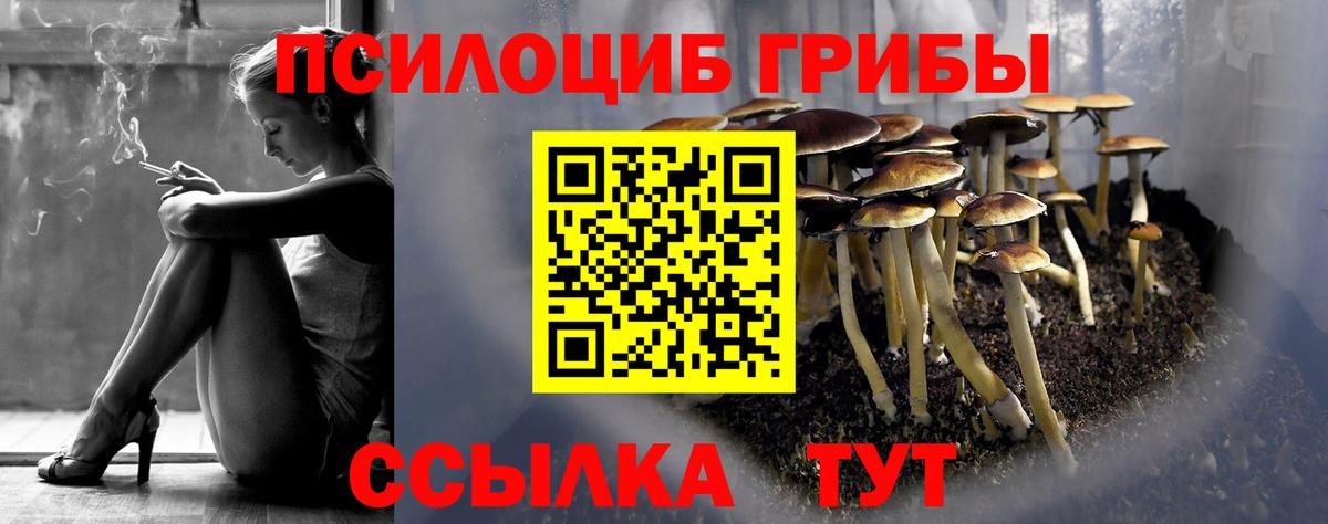 Домодедово  Псилоцибиновые грибы мицелий  Вход с VPN 